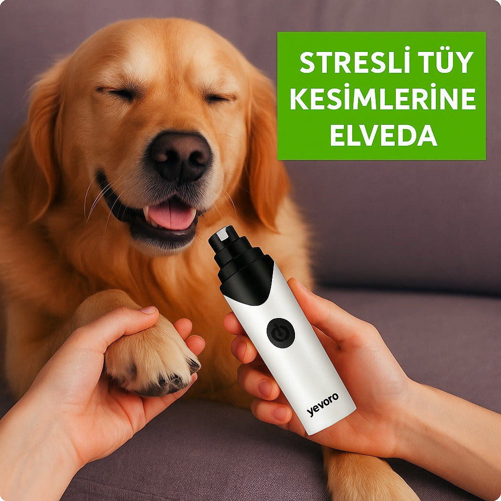 Yevoro Sessiz Tırnak Törpüsü
