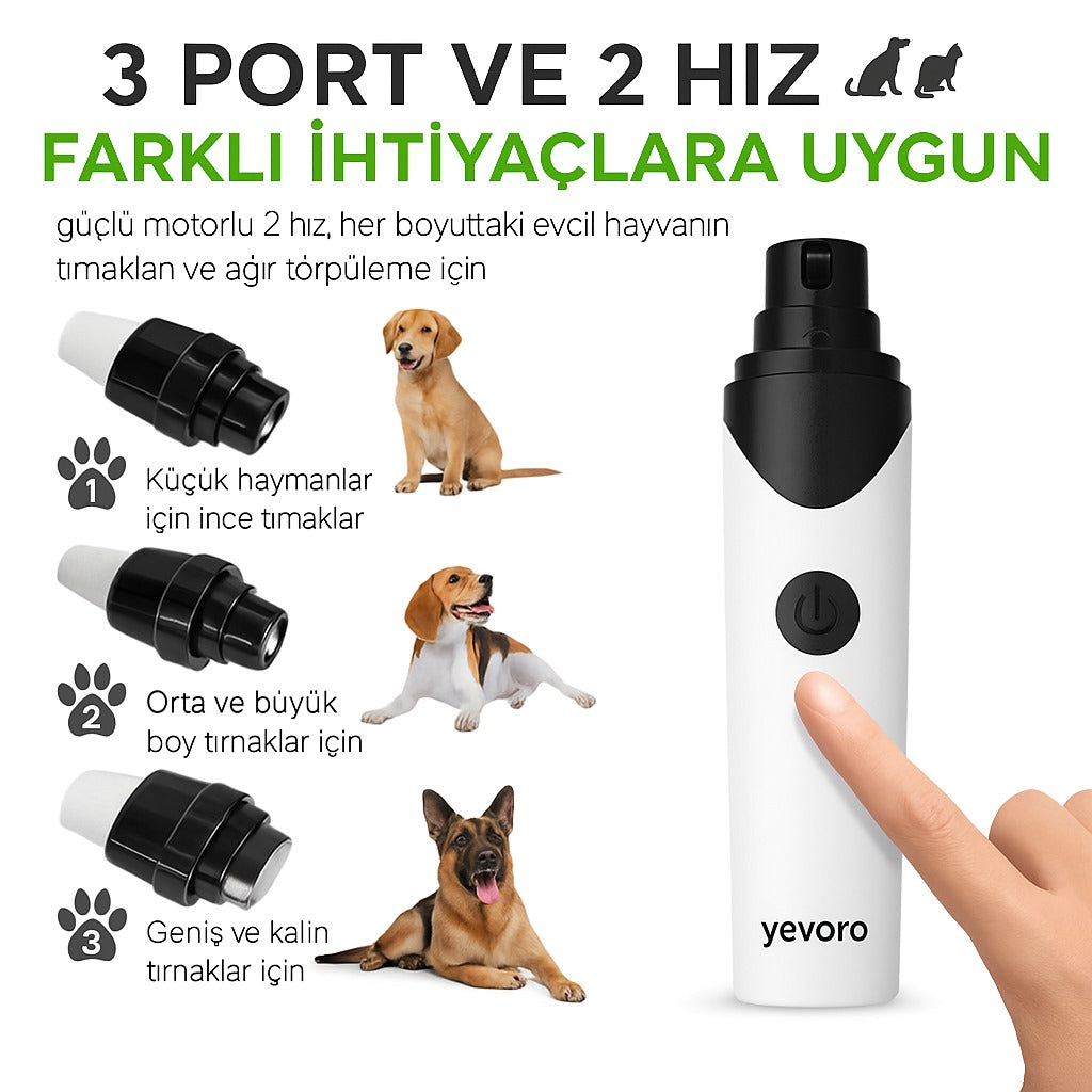Yevoro Sessiz Tırnak Törpüsü